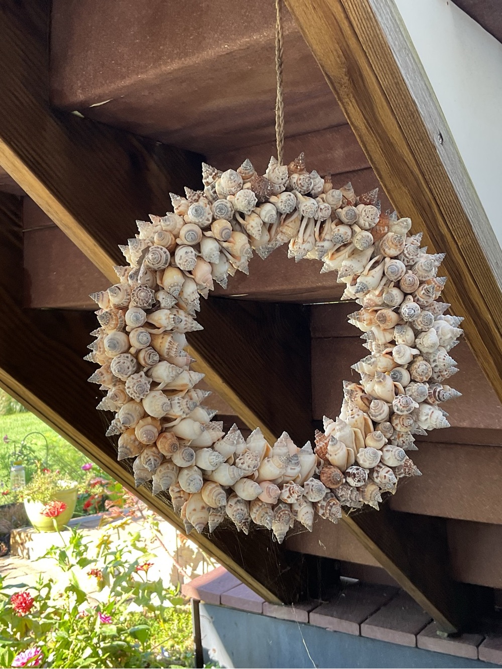 Seashell Holiday Wreath - Natural Cream Decorative Accent
